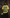 Roberto Carlos The Bullet From BRAZIL Yellow Fanart T-shirt